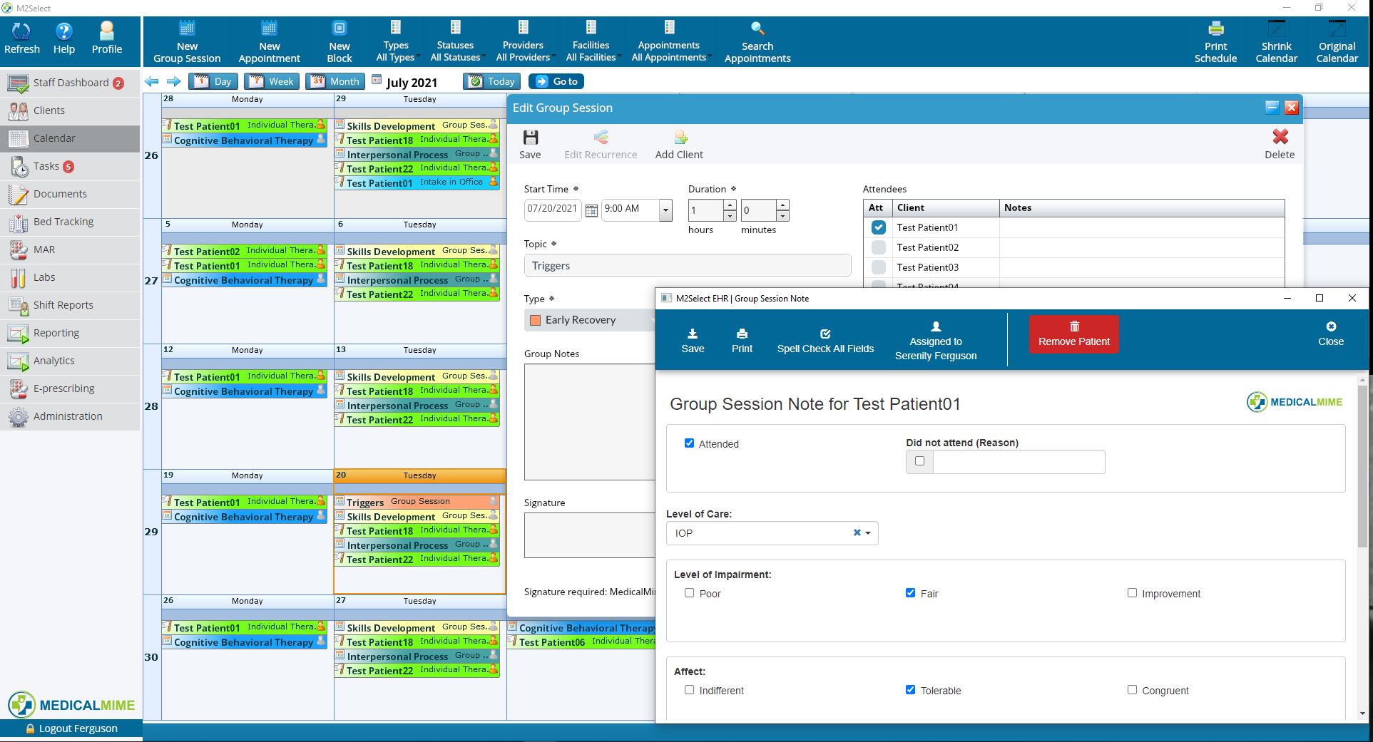 screenshot of Medical Mime